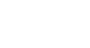BS logo _Mesa de trabajo 1 copia 5